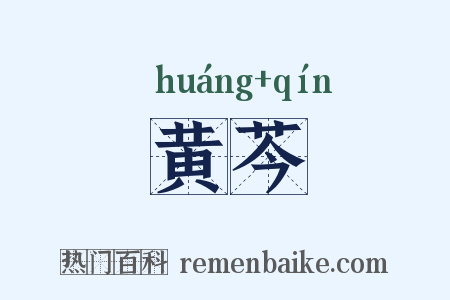 黄芩是什么意思的图片